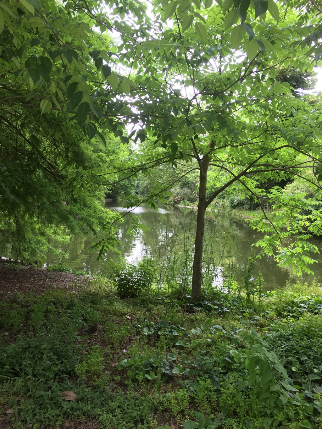 He’s in the little&nbsp;things…